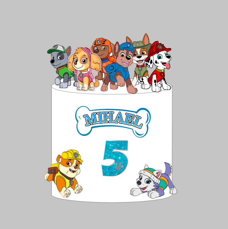 Paw Patrol set topera za tortu s imenom Mihael i brojem 5, psi Paw Patrola i kost s imenom – set 3